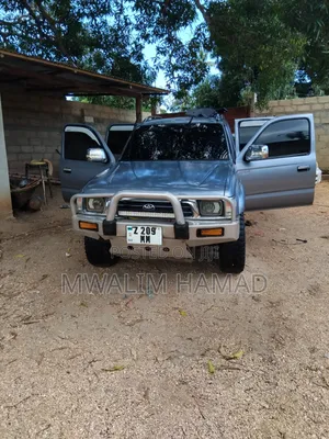 Toyota Hilux 2002 Gray