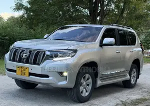 Toyota Land Cruiser Prado 2019 Silver