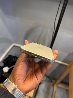 Apple iPhone 16 Pro Max 256 GB Gray