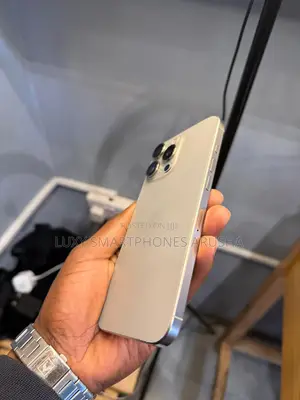 Apple iPhone 16 Pro Max 256 GB Gray