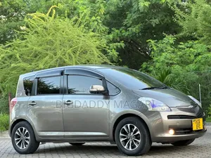 Toyota Ractis 2009 Gray