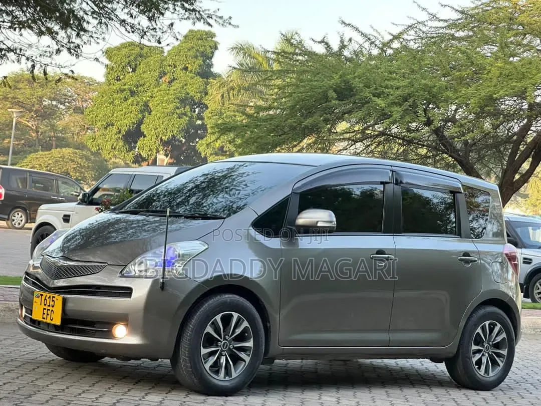 Toyota Ractis 2009 Gray