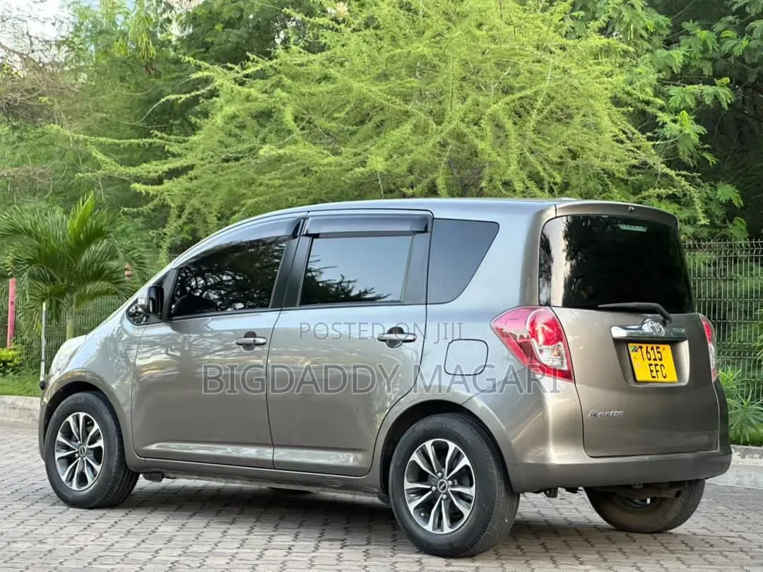 Toyota Ractis 2009 Gray