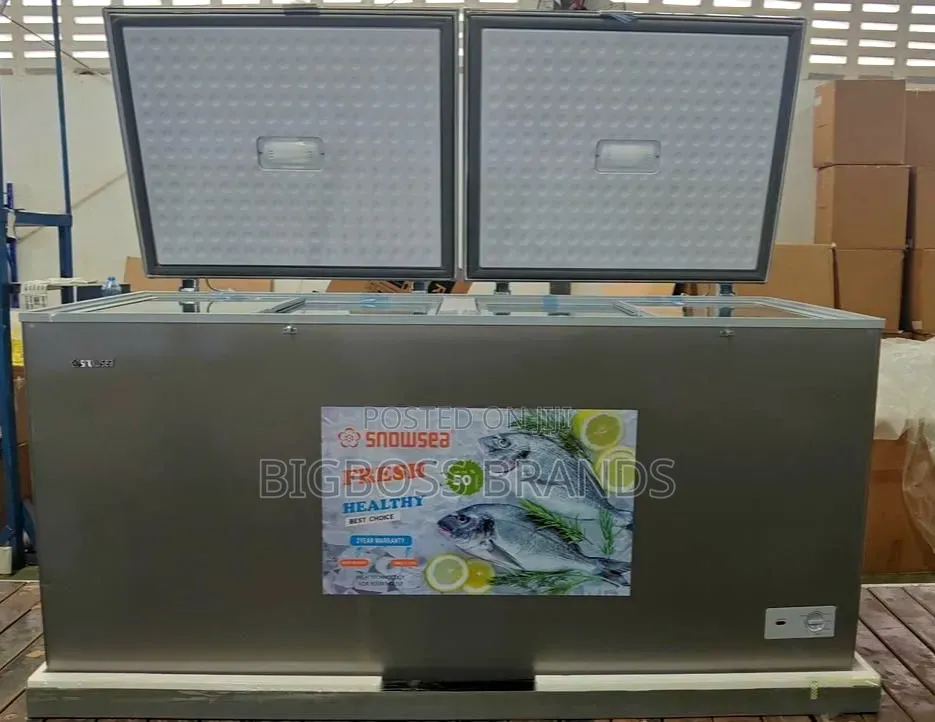 Snowsea Freezer 550 Liters Bd55s