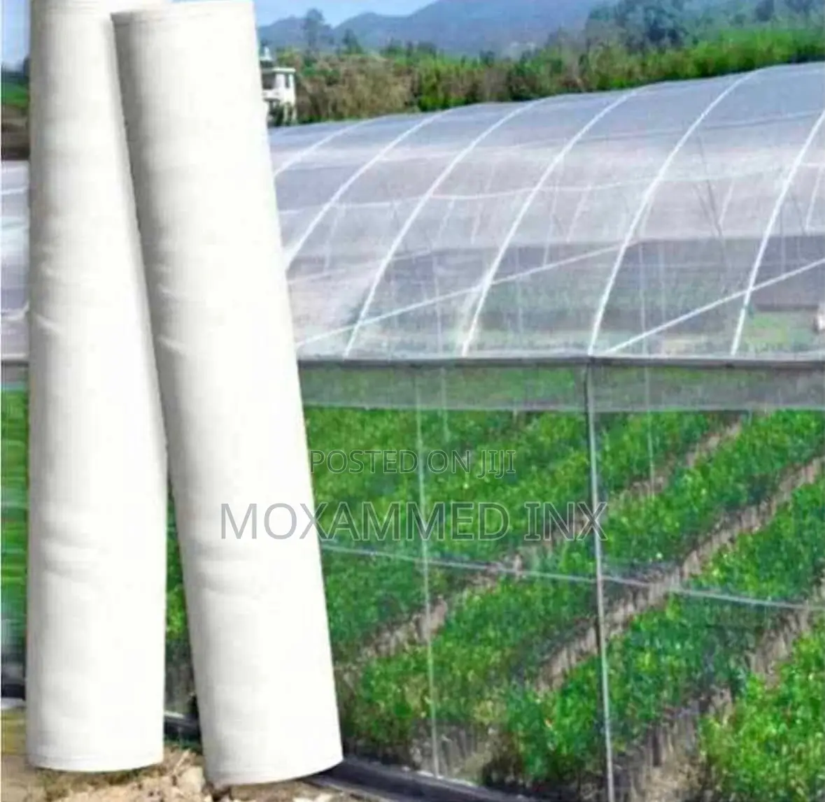Agriculture Inscet Net Roll 3m*100meters