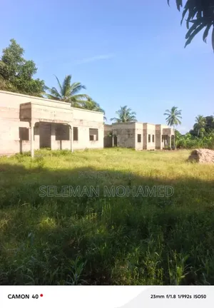Shamba Lenye Nyumba Tatu Linauzwa Mwanambaya