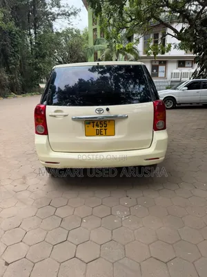 Toyota Raum 2004 Yellow