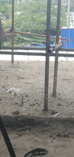 Furnished 3bdrm Apartment in Masaki for sale