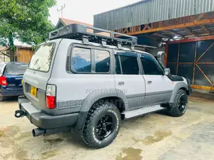 Toyota Land Cruiser 1992 Gray