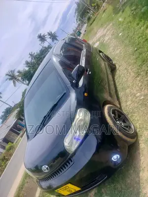 Toyota Porte 2004 Black