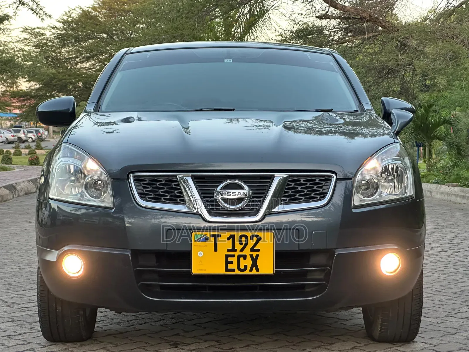 Nissan Dualis 2011 Gray