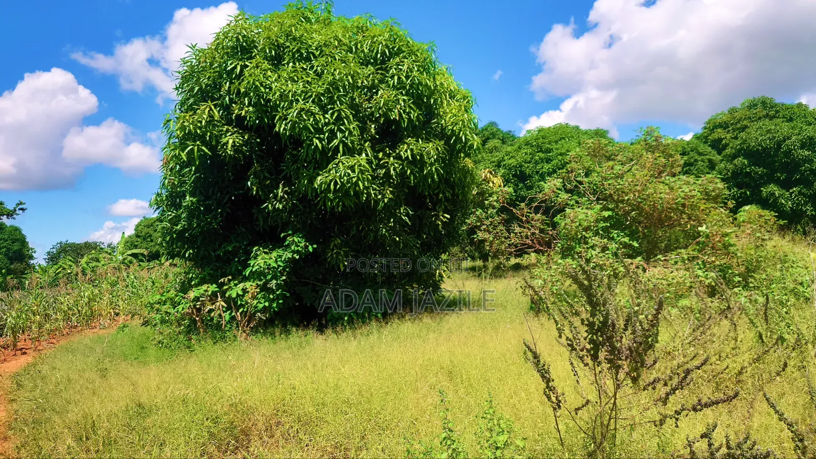 Shamba La Ekari 10 Na Nyumba Za Kisasa 2 Linauzwa Kiwangwa Bagamoyo