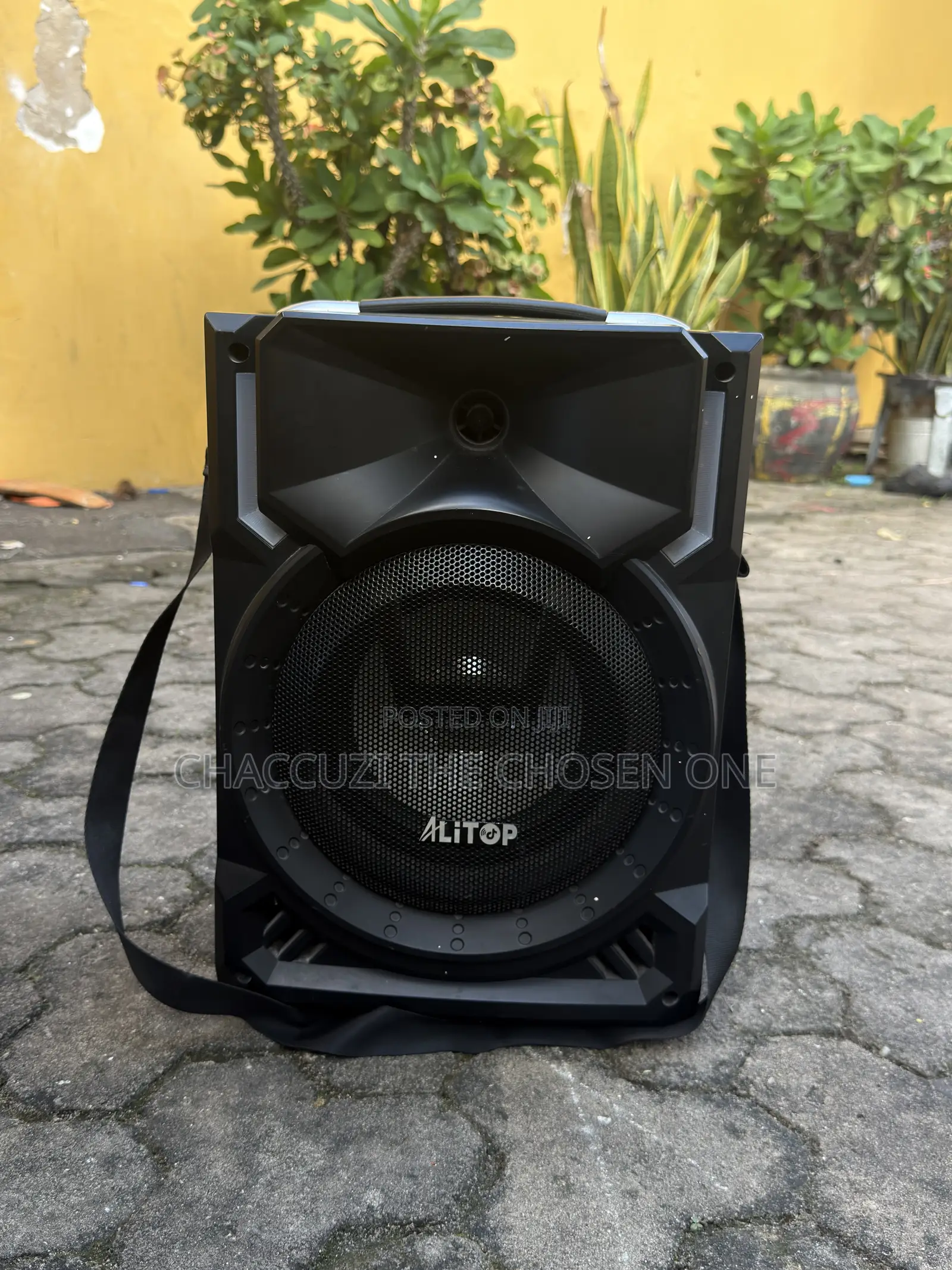 Speaker Alitop