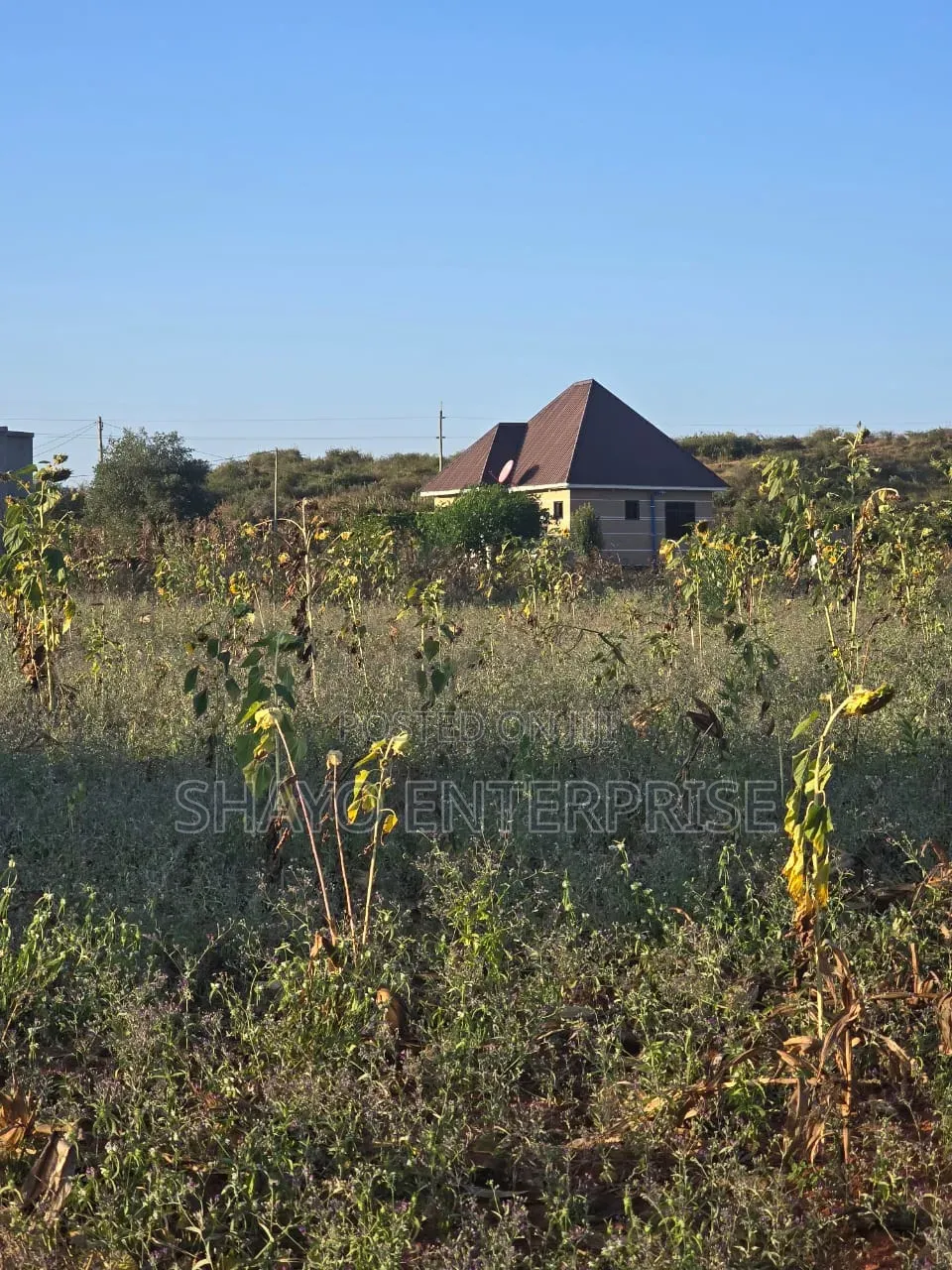 Kiwanja Kinauzwa