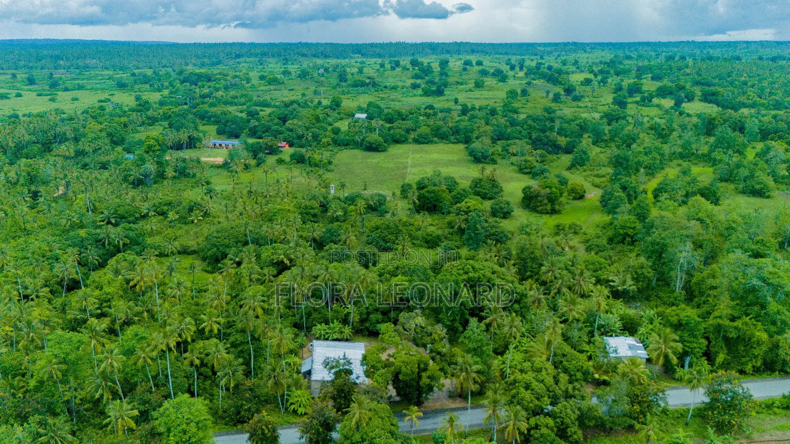 Agricultural Land for Sale in Unguja