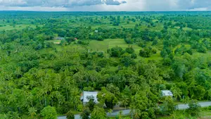 Agricultural Land for Sale in Unguja