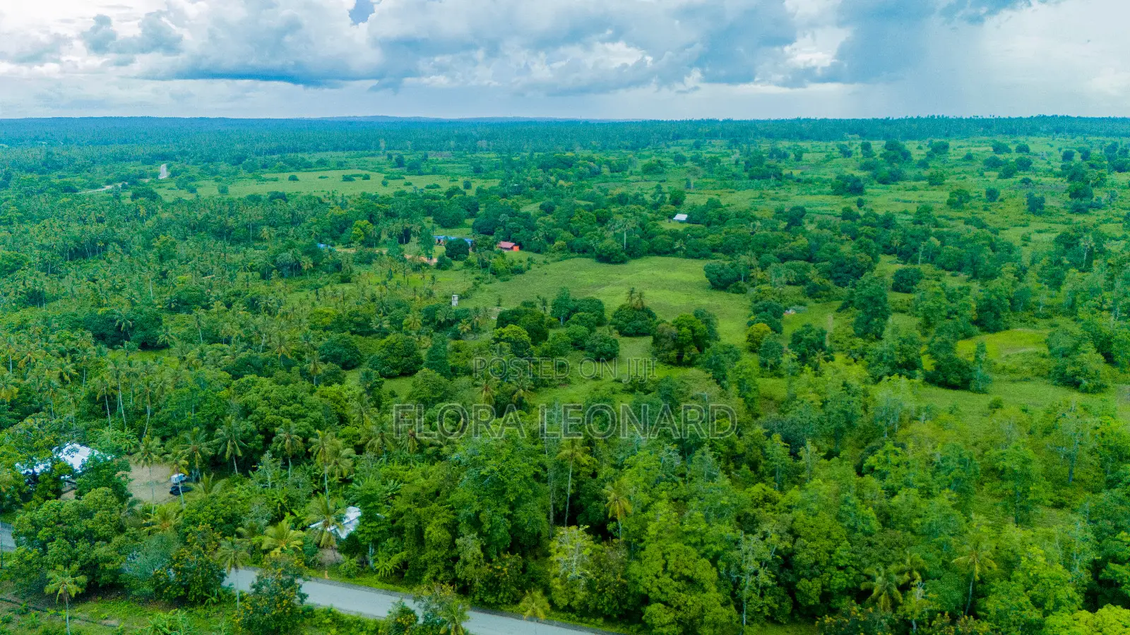 Agricultural Land for Sale in Unguja