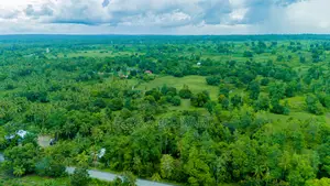 Agricultural Land for Sale in Unguja