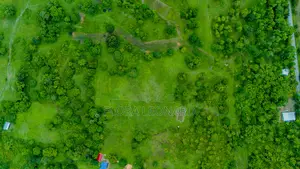 Agricultural Land for Sale in Unguja