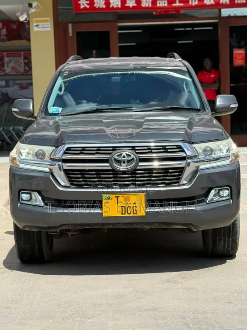 Toyota Land Cruiser 2008 Gray