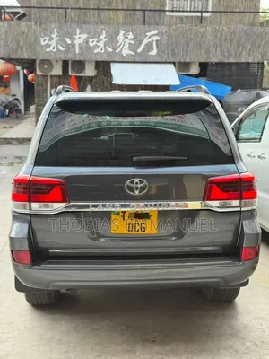 Toyota Land Cruiser 2008 Gray