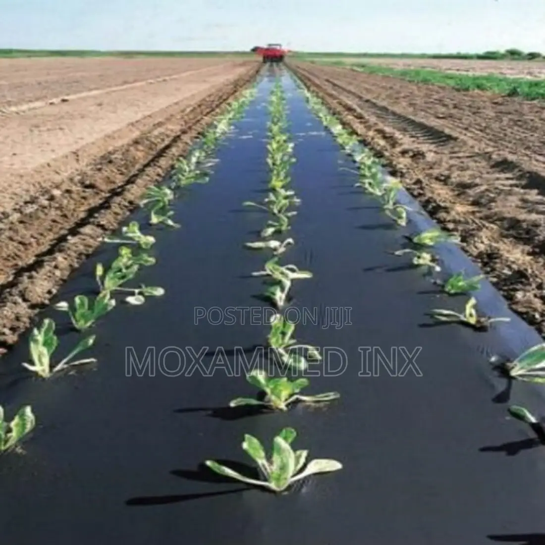 Mulch Film 60 Microns 500m X 1.6m