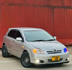 Toyota Corolla RunX 2007 Silver