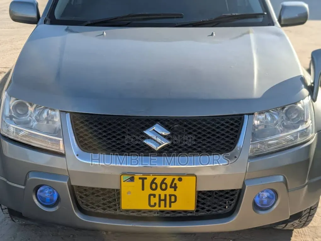 Suzuki Grand Vitara 2009 Gray