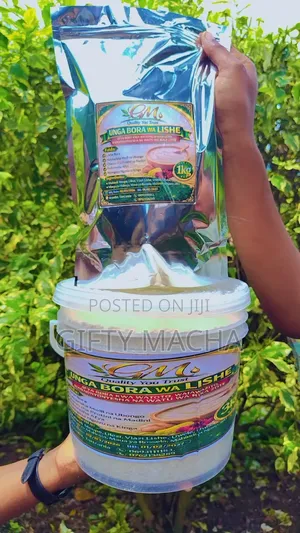 Unga Wa Lishe