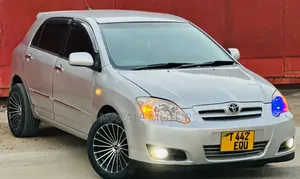 Toyota Corolla RunX 1.5 X AWD 2006 Silver