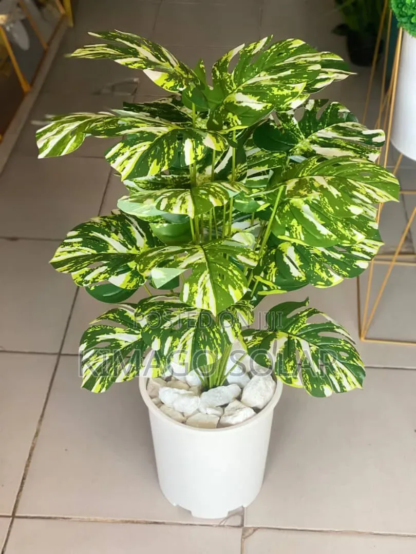 Maua Makubwa Kwa Nyumba Za Kisasa 110cm