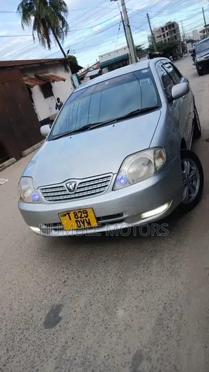 Toyota Allex 2001 Silver