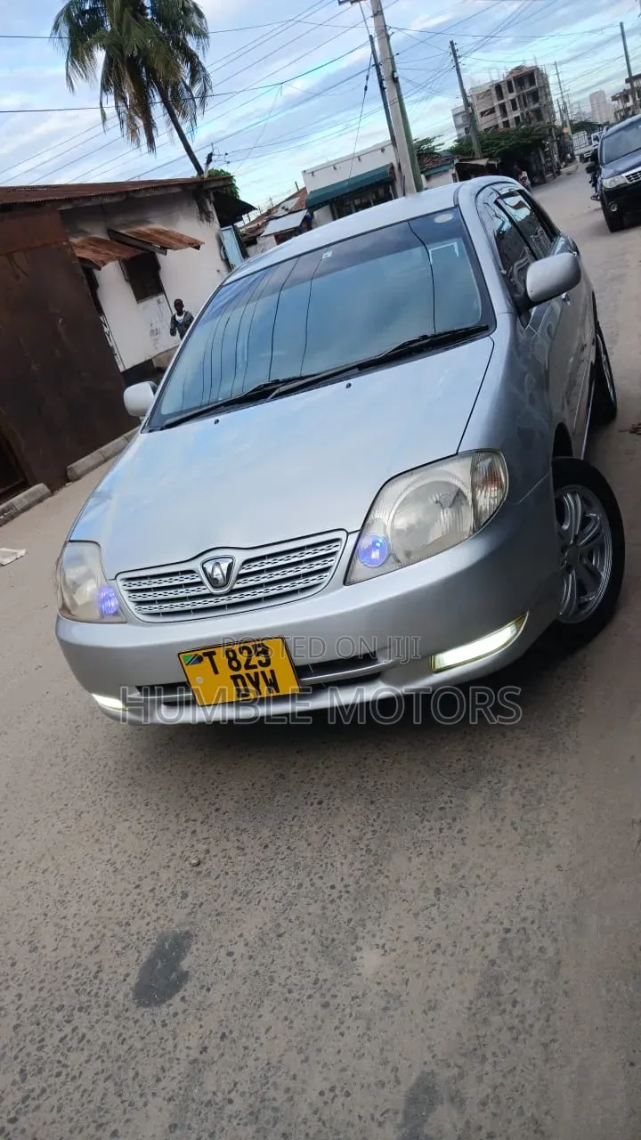Toyota Allex 2001 Silver