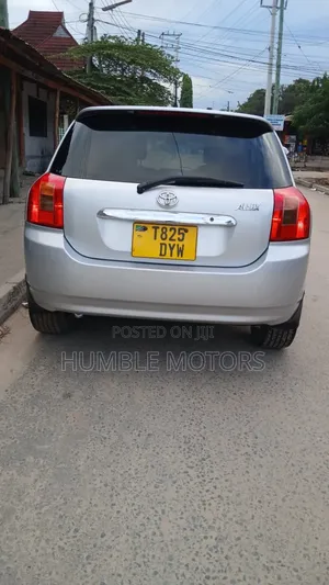 Toyota Allex 2001 Silver