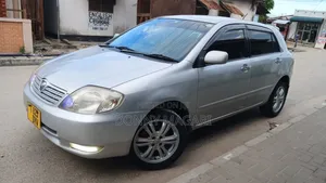 Toyota Allex 2005 Silver