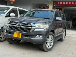 Toyota Land Cruiser 2008 Gray