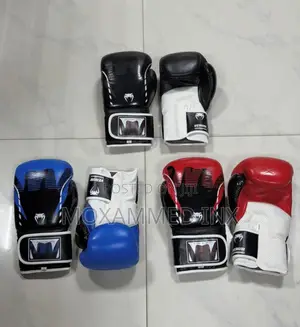 Boxing Glooves Top Quality Pair