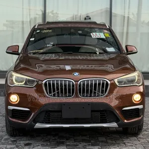 BMW X1 2017 Brown