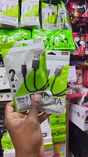 Raino Usb Type C Fast Charge