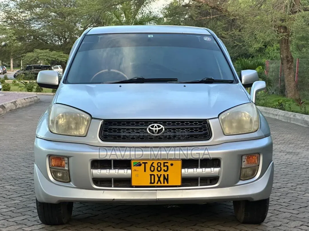 Toyota RAV4 2002 Silver