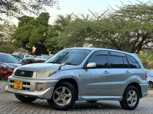 Toyota RAV4 2002 Silver