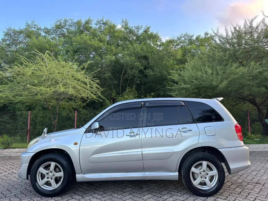 Toyota RAV4 2002 Silver