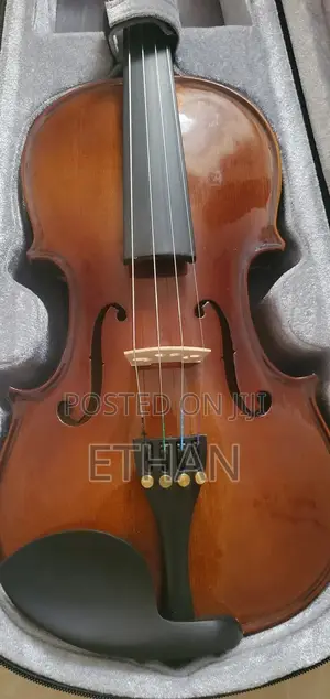 4/4 Synwin Violin Complete Set With Bow, Rosin Shoulder Rest