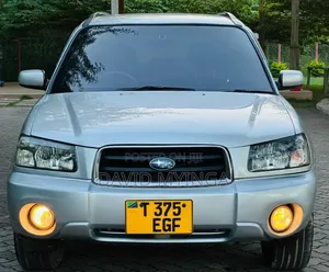 Subaru Forester 2004 Gray