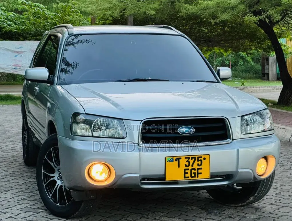Subaru Forester 2004 Gray