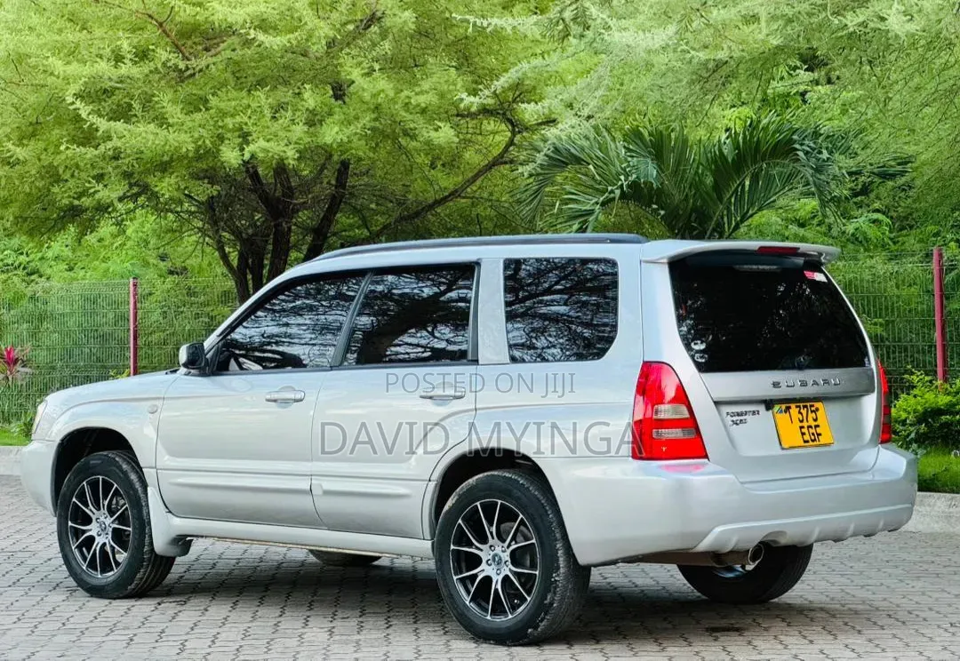Subaru Forester 2004 Gray