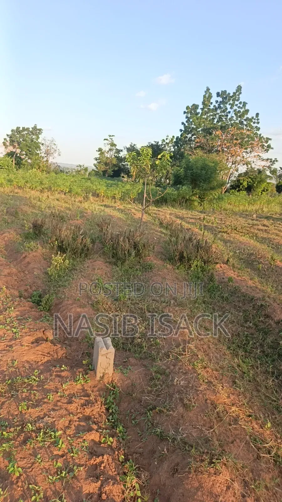 Kiwanja Kinauzwa Mwanza