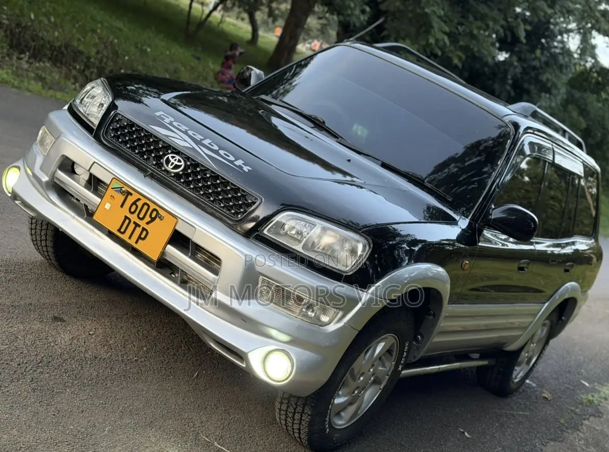Toyota RAV4 2002 Black
