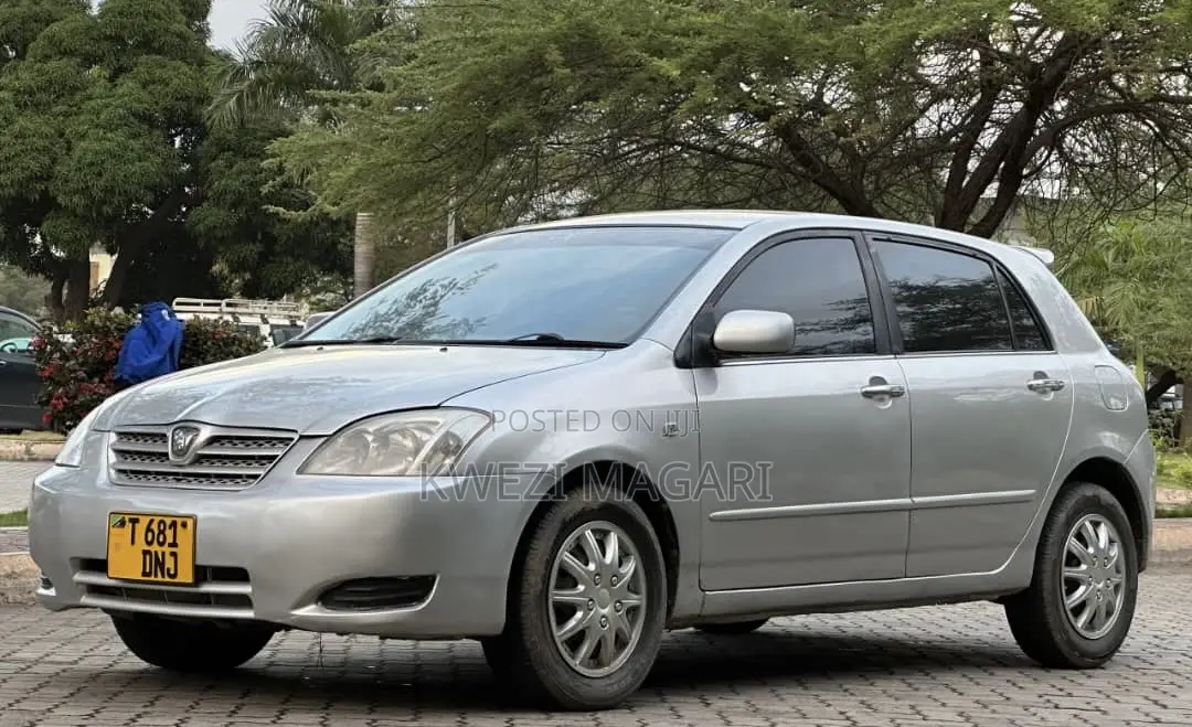 Toyota Corolla RunX 2004 Silver