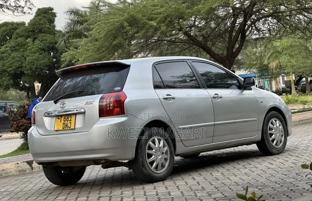 Toyota Corolla RunX 2004 Silver